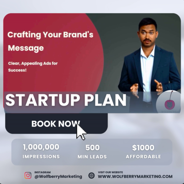 Startup Digital Marketing Complete Plan By Wolfberry Marketing