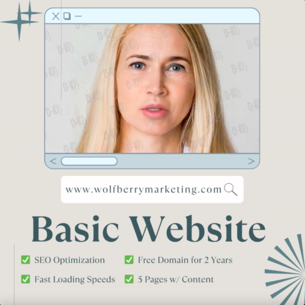 Basic Website Design Plan By Wolfberry Marketing